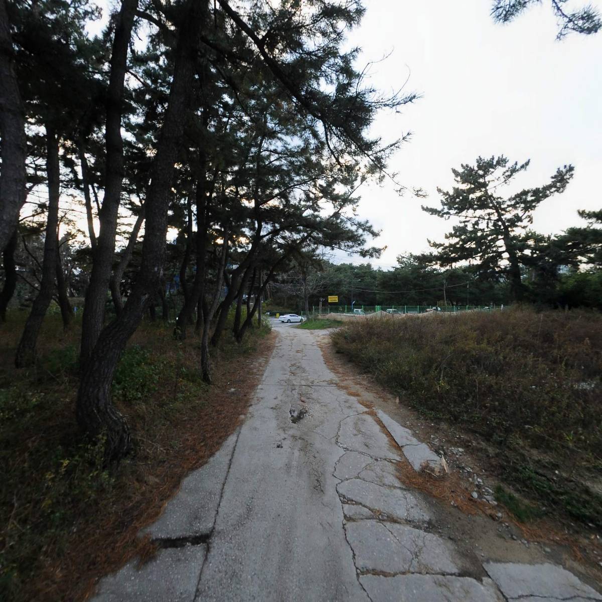 세븐일레븐 송정해변점_2