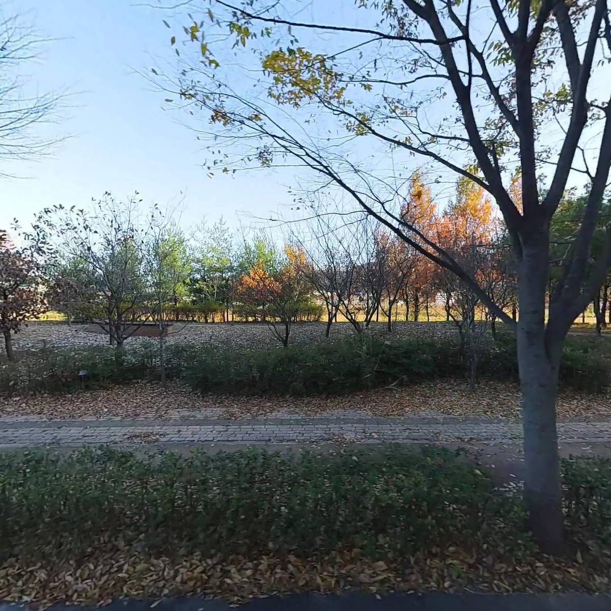 케이티엑스(KTX)우리부동산공인중개사사무소