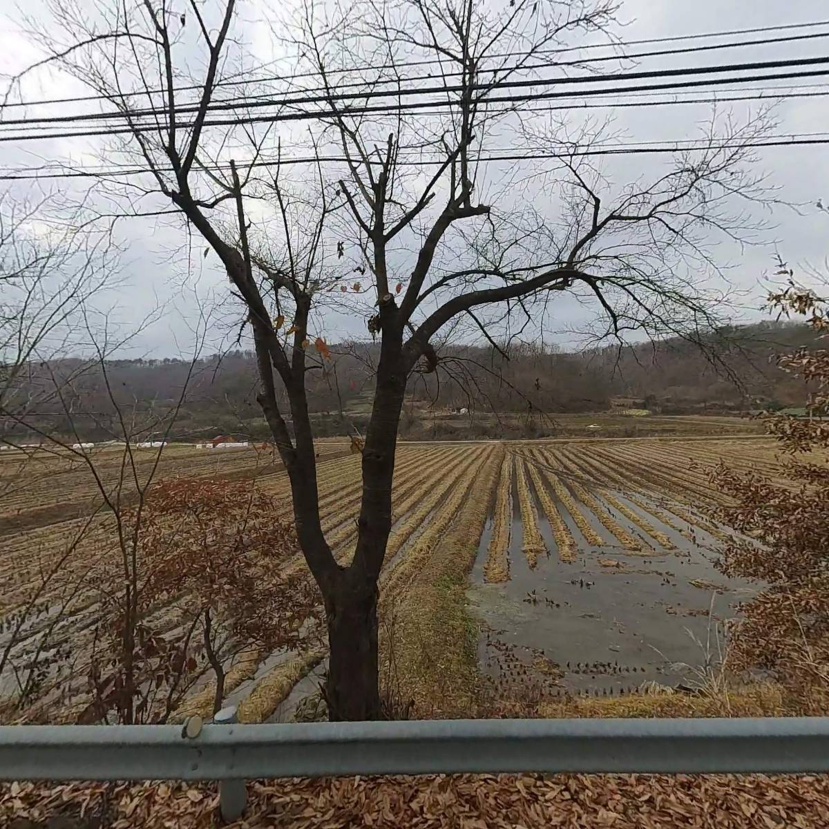 제칠일안식일예수재림교 손곡교회