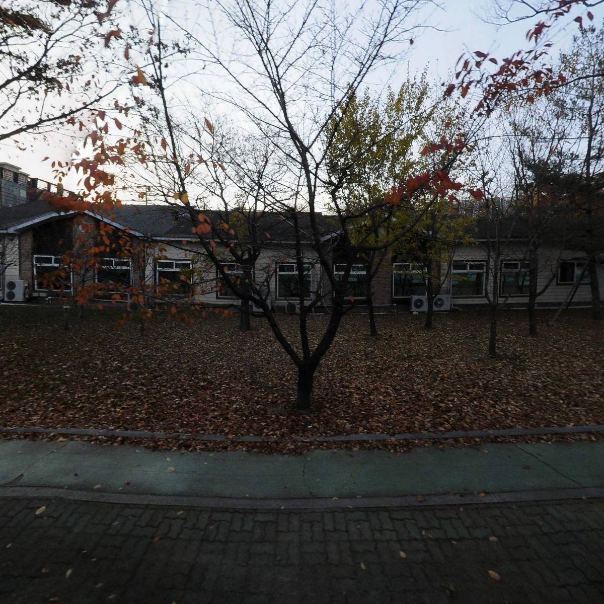 대장금