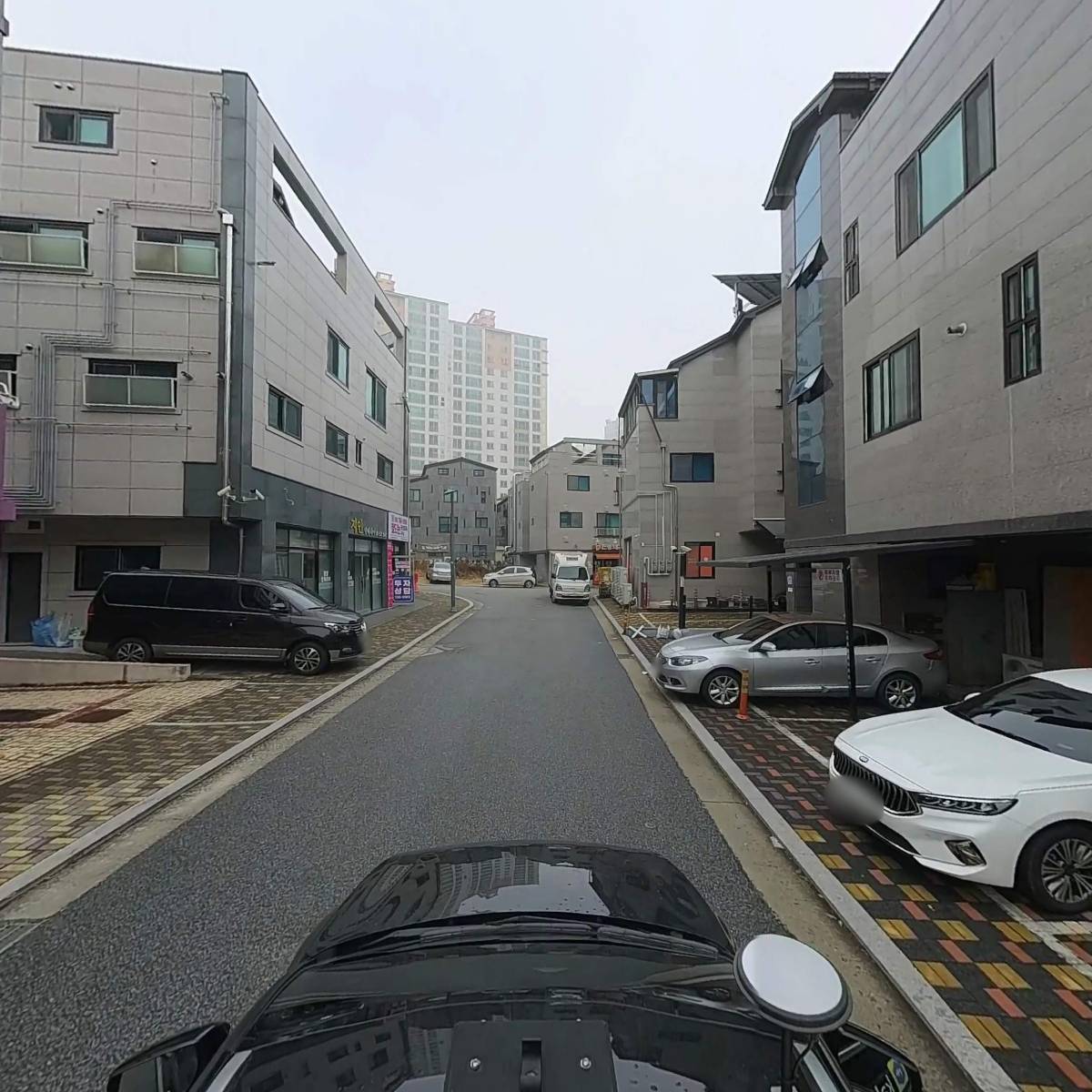 라바니_4