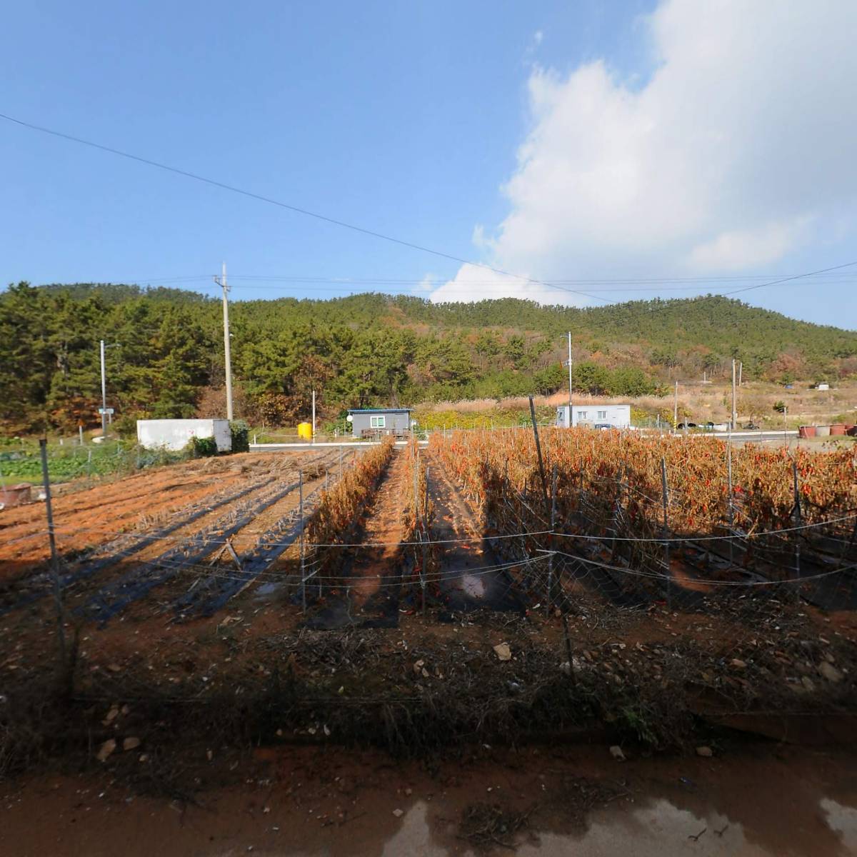 오봉산해수욕장 번영회_3