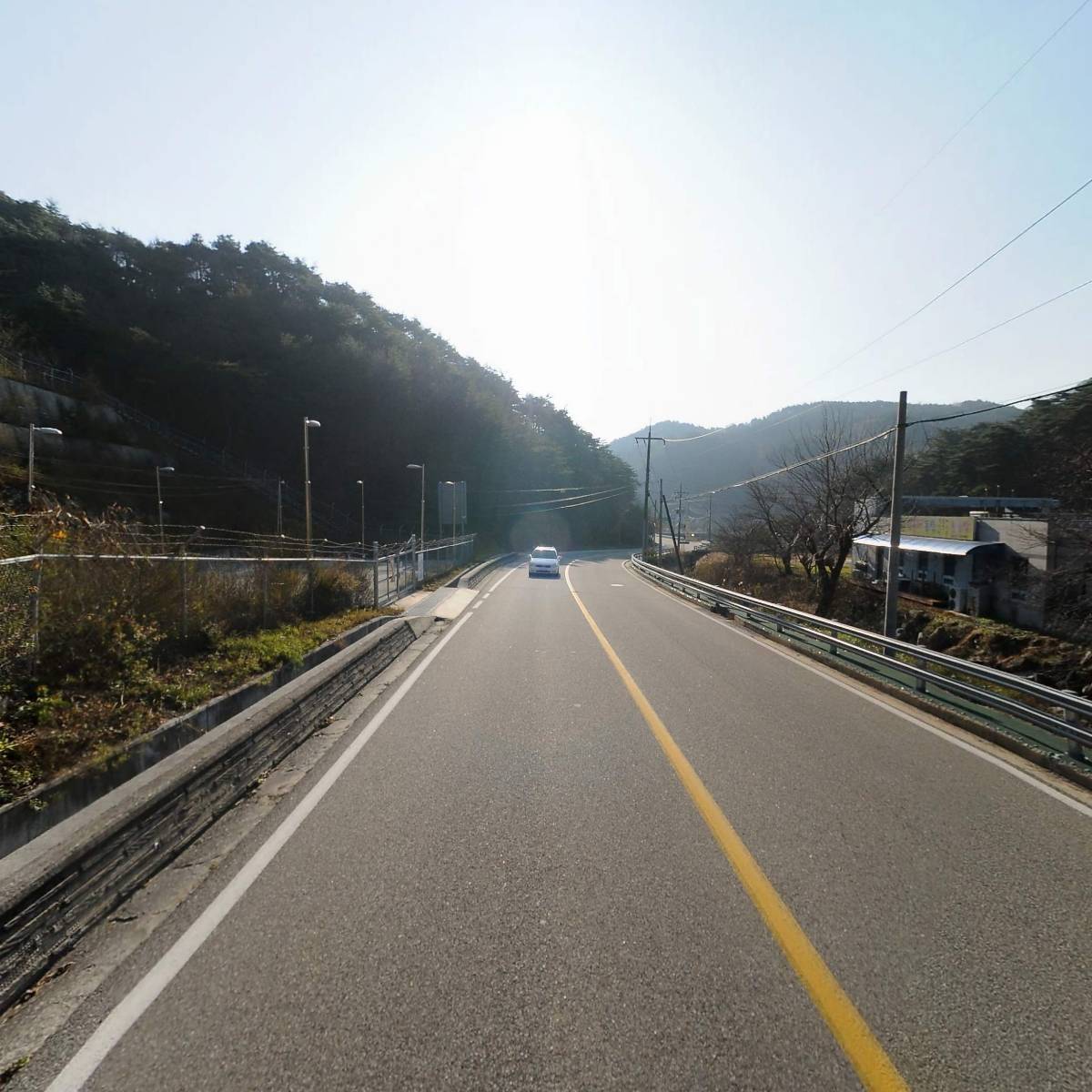 대굴령민들레동산_2