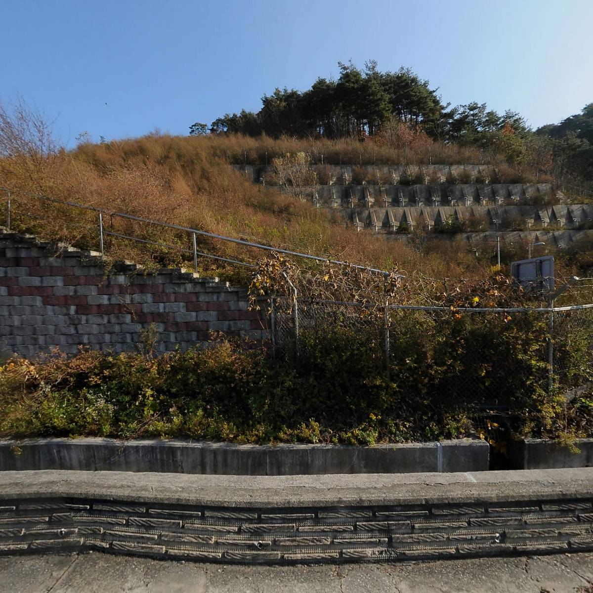 대굴령민들레동산