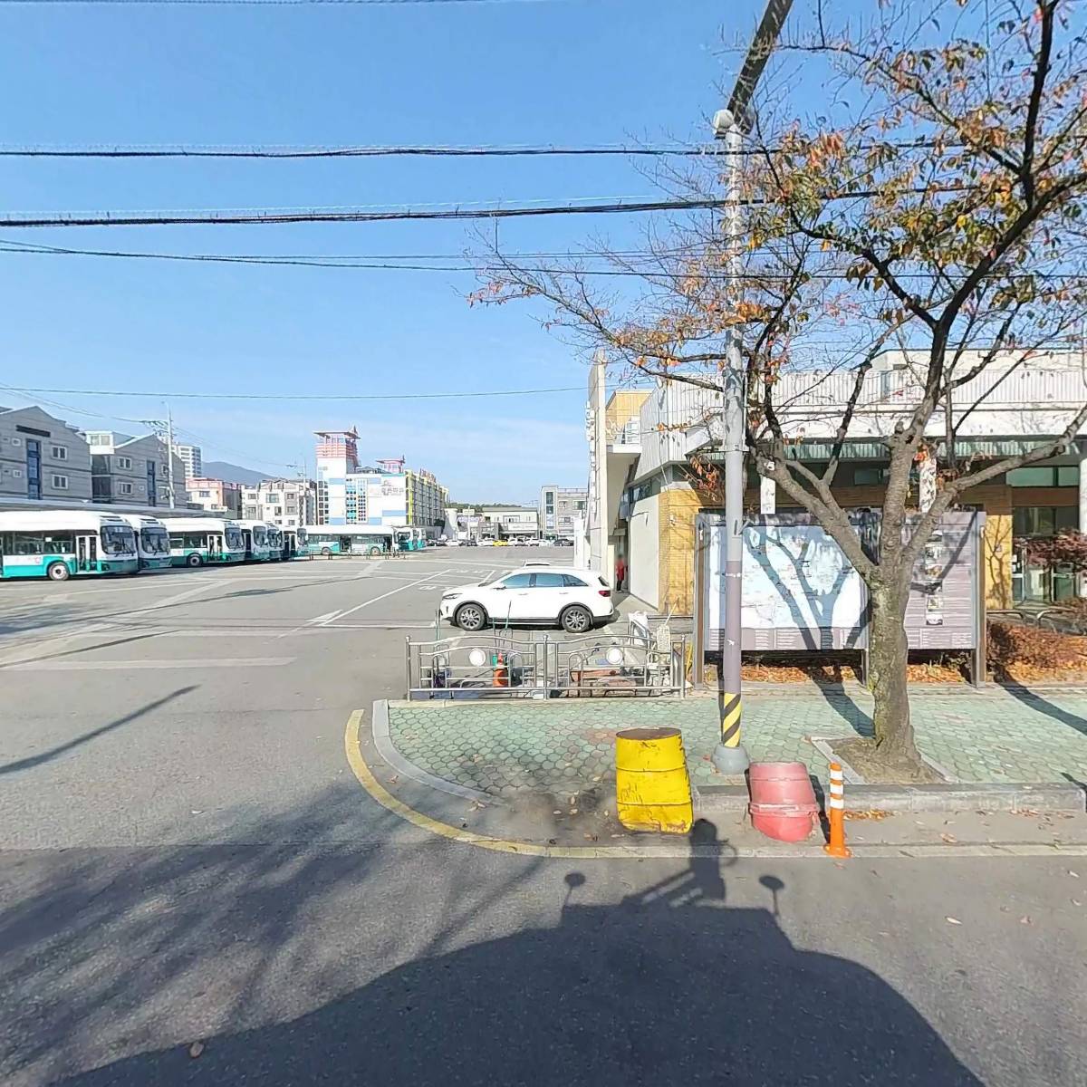 홀세일마트