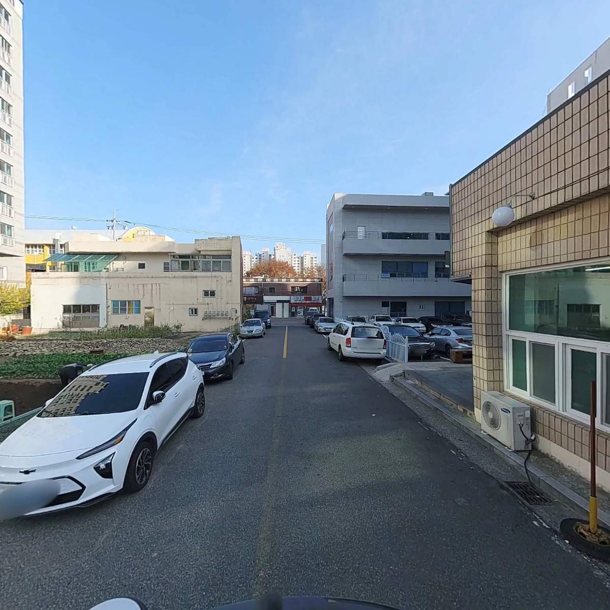 선미돈돌이_2