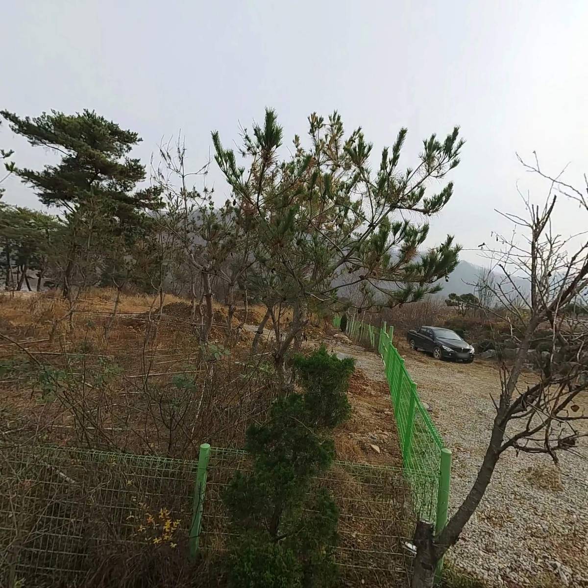 윤송호