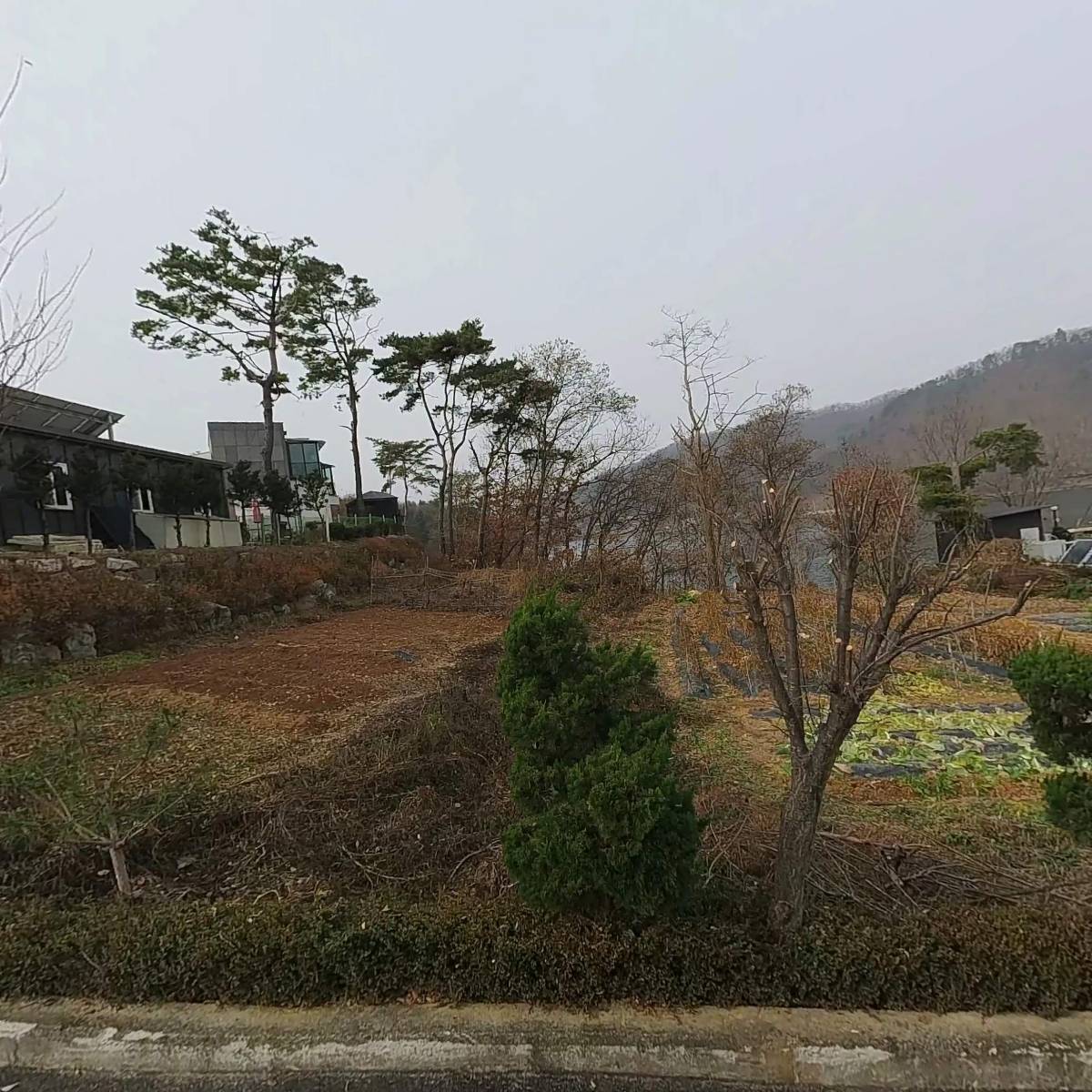 윤송호_3