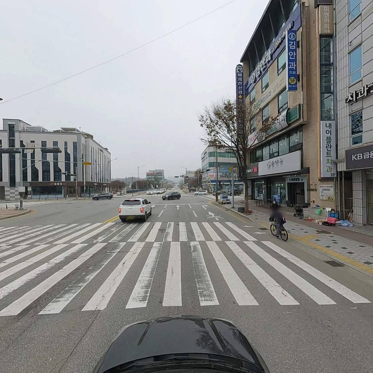 내이플란트_4