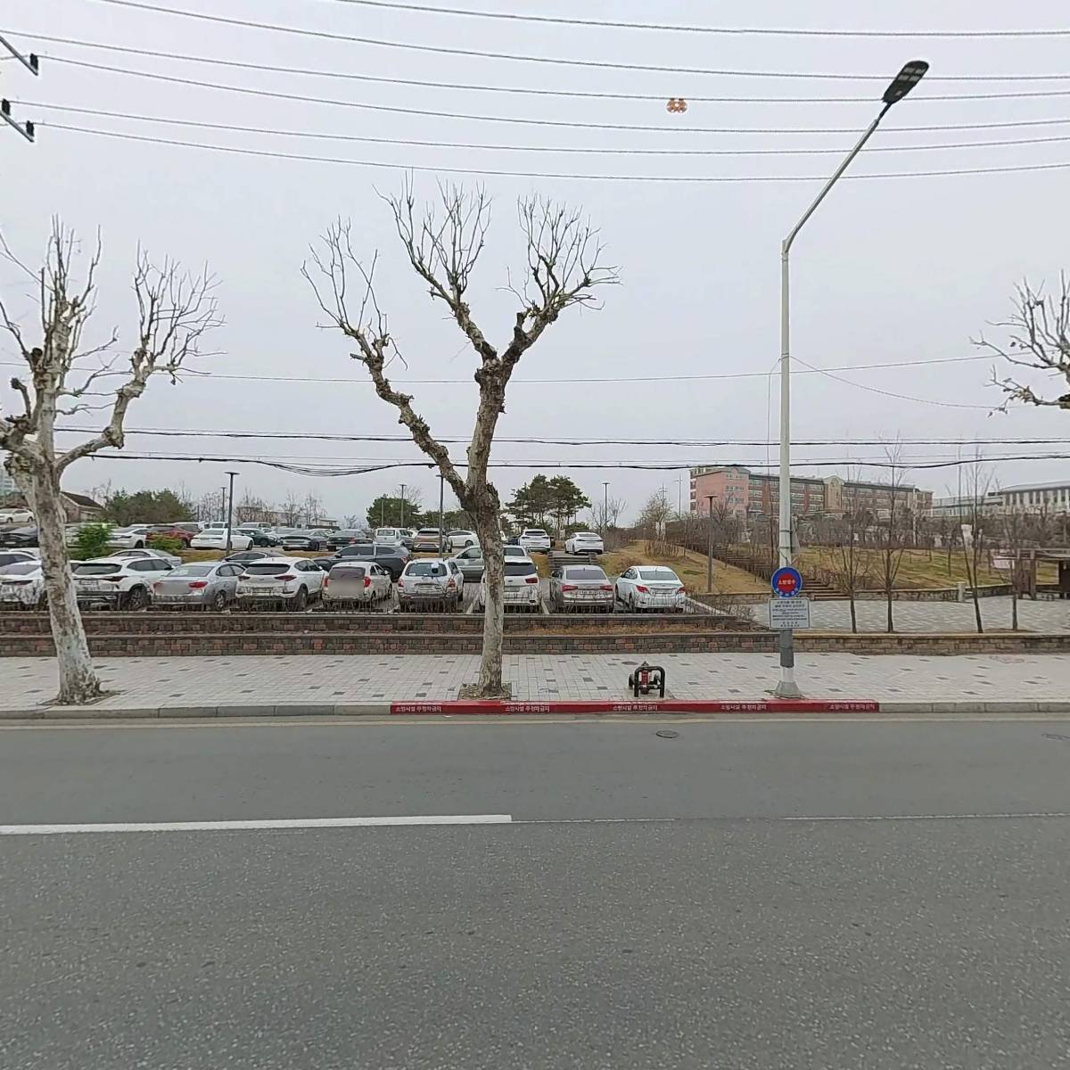 예손정형외과_3