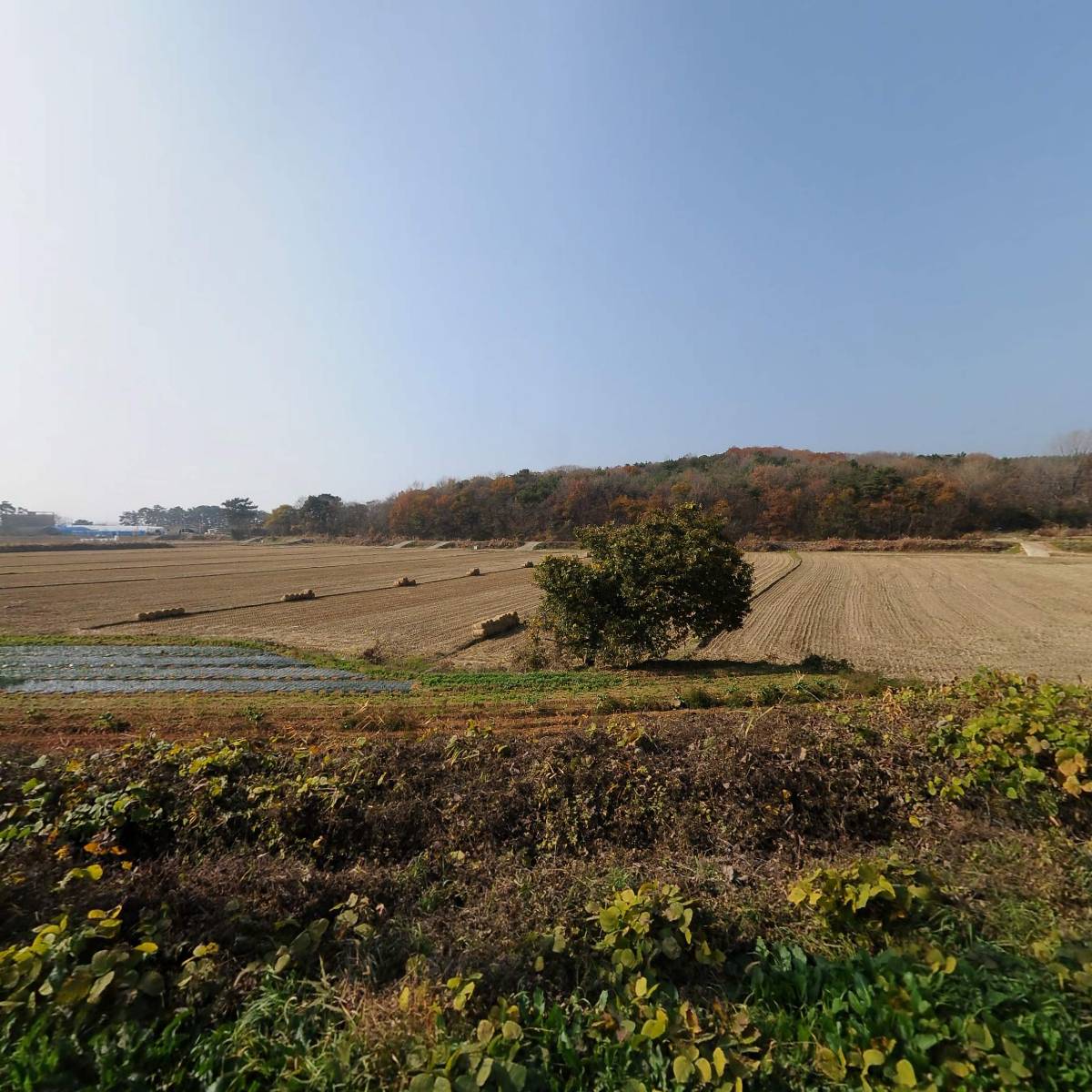 서해주유소
