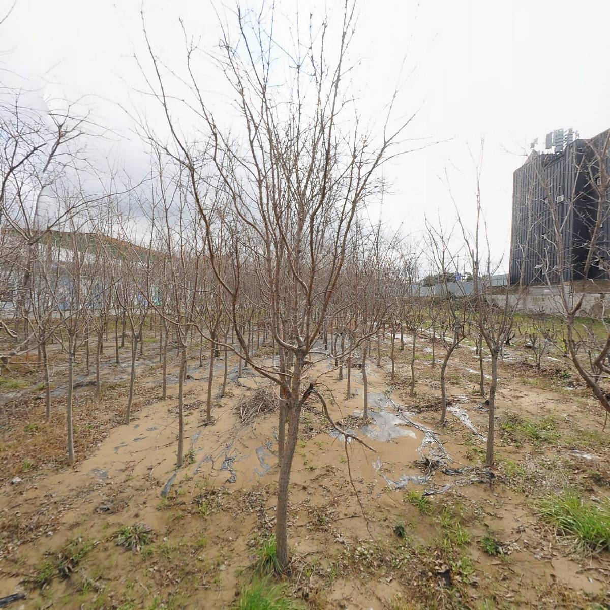 (주)포항알프스_3