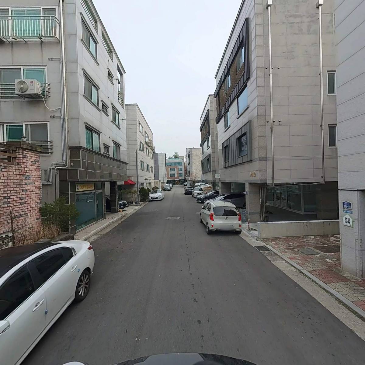 프릭타이_2