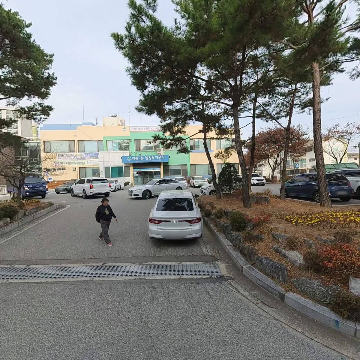 안진철수학