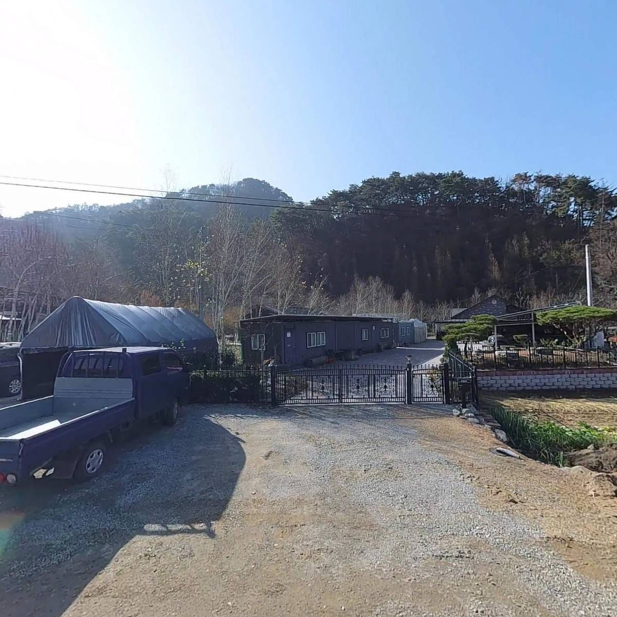 거봉조경수