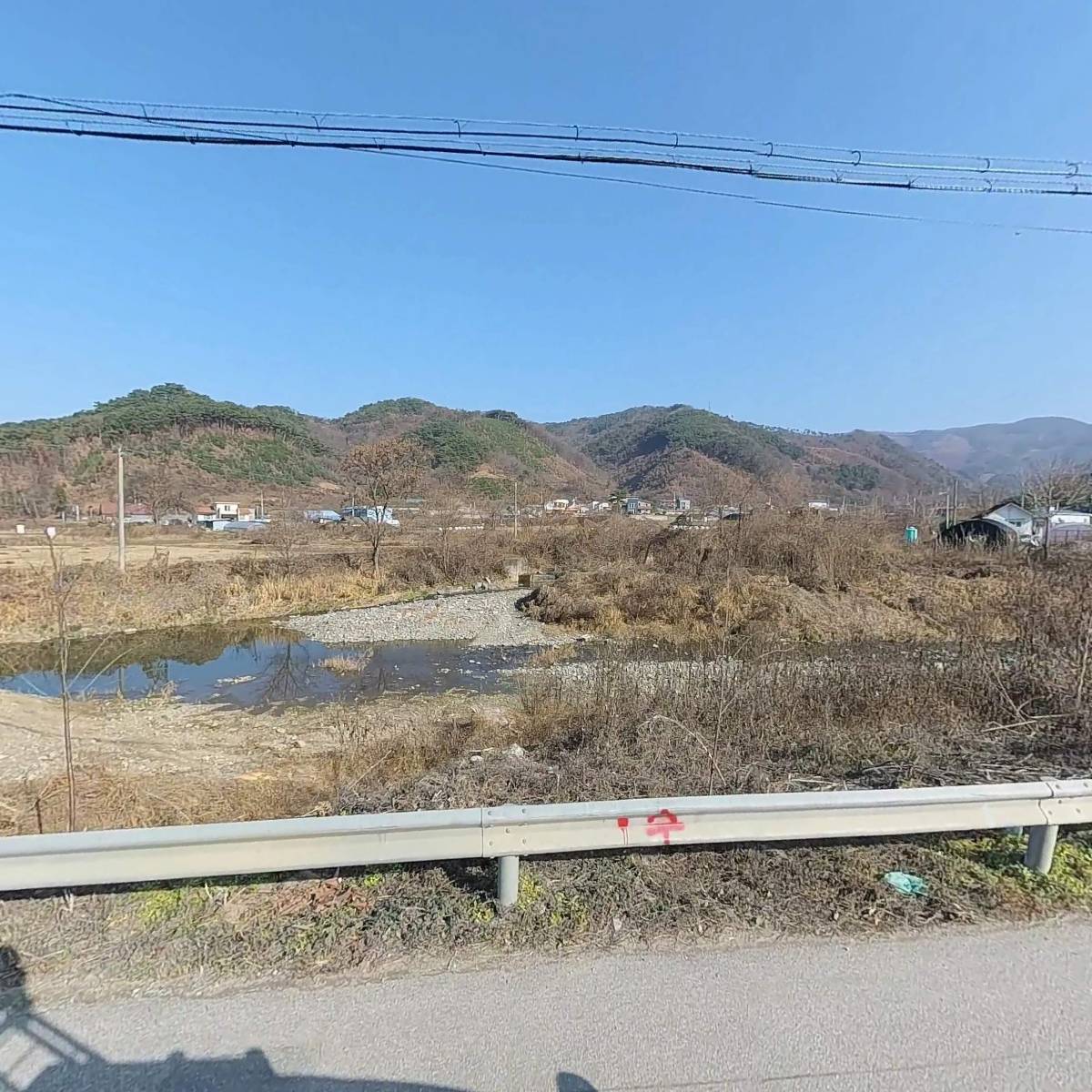 거봉조경수_3