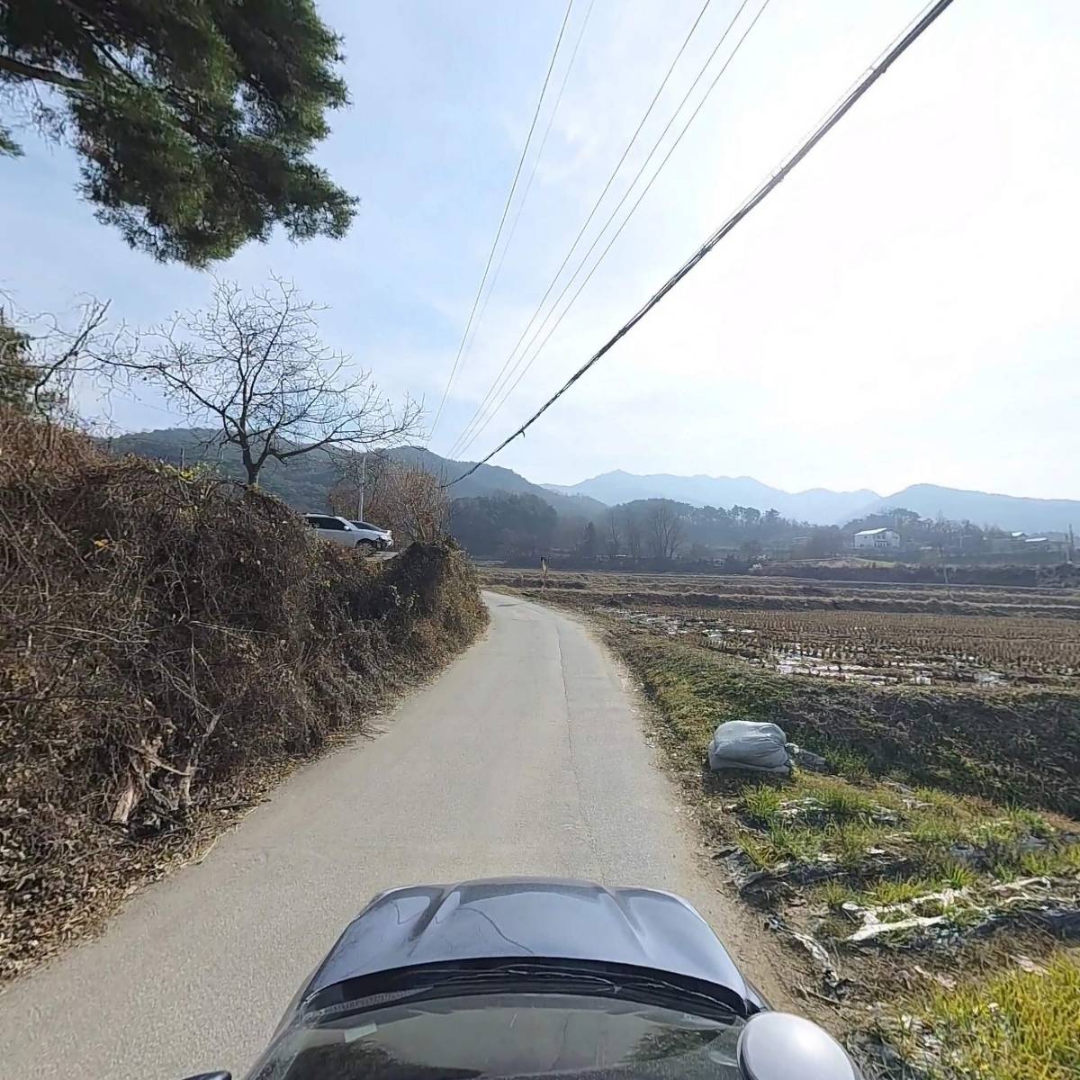진광카독크_4