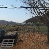 강촌퇴골오리닭갈비