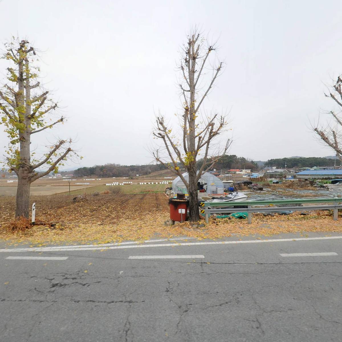 동강중학교(직장)_3