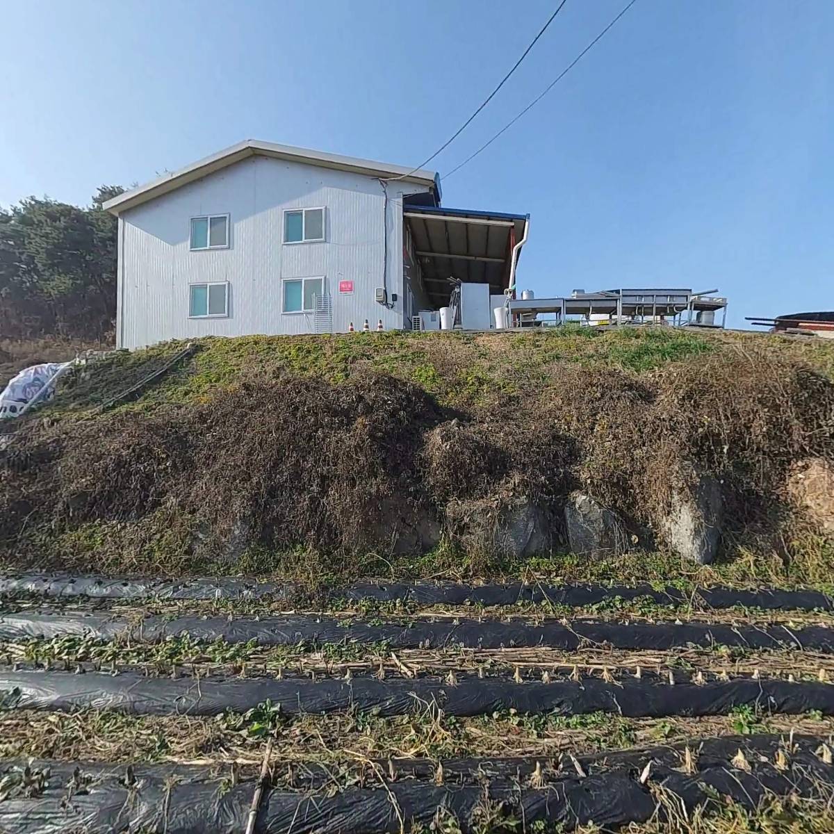 주.태진