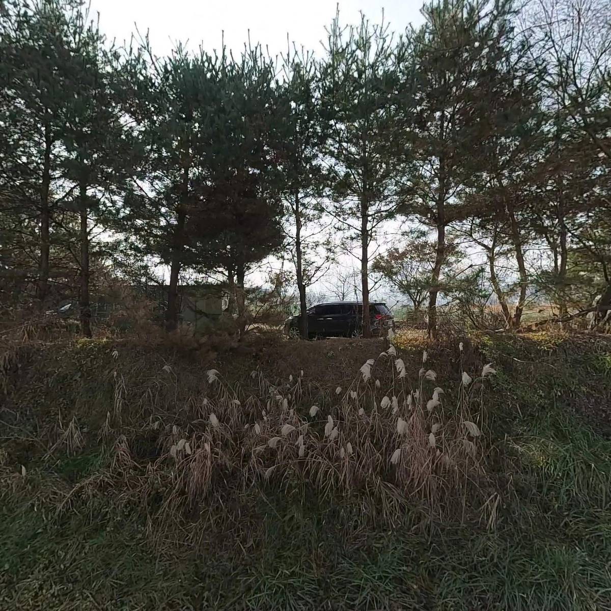 (주)시방사