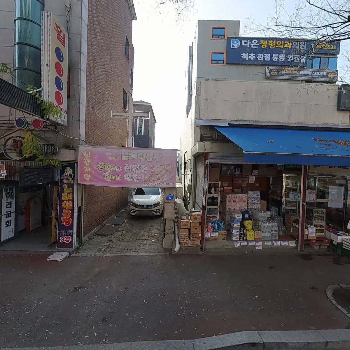 봄내살수