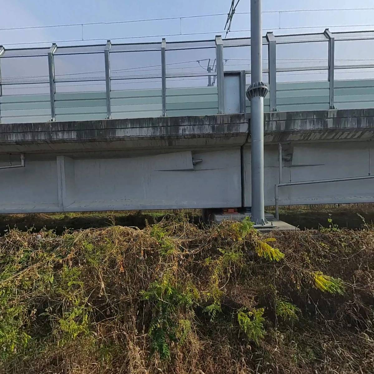 카프랜드_3