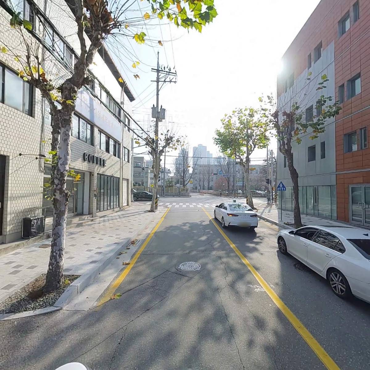 중앙시니어 협동조합_2