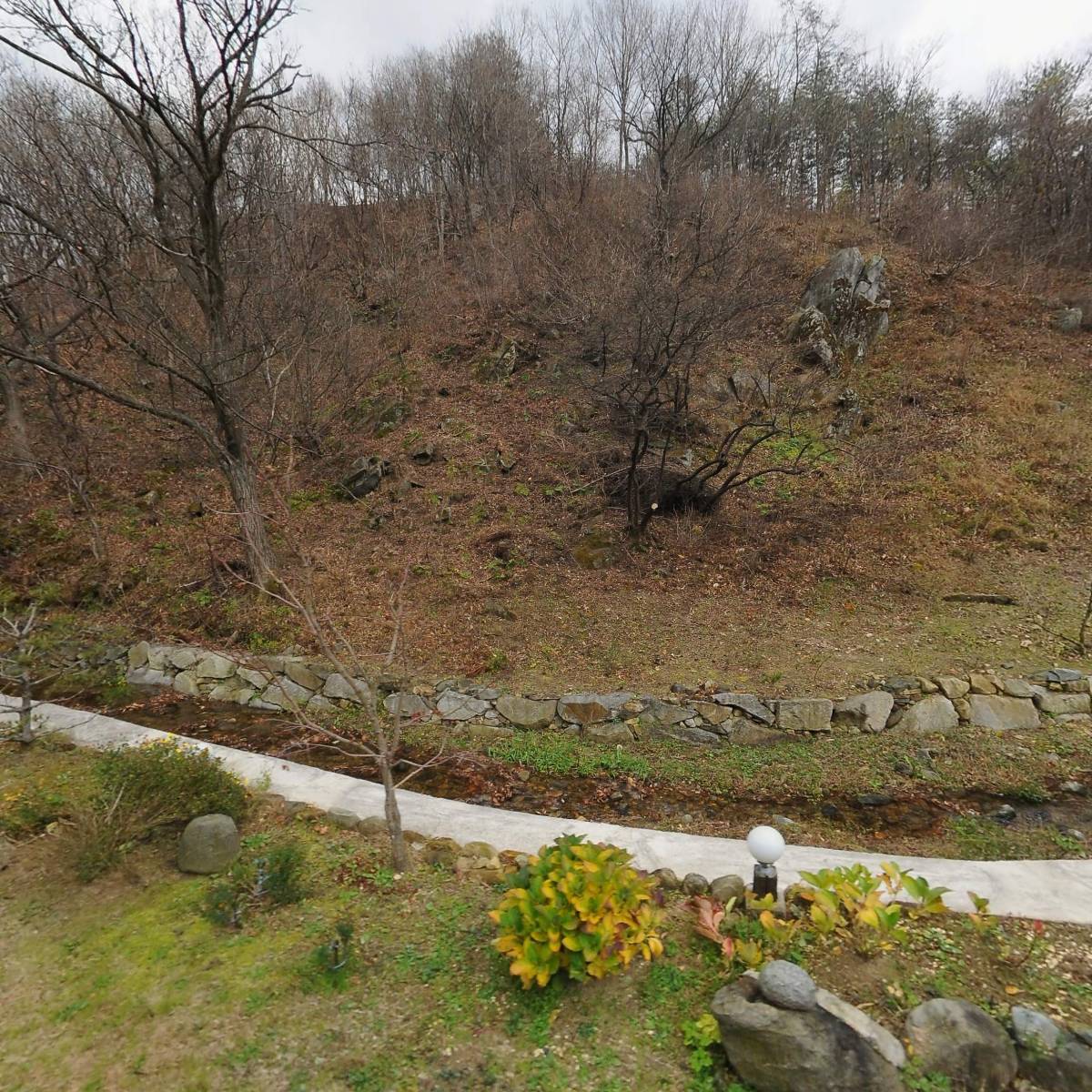 성산초등학교총동문회