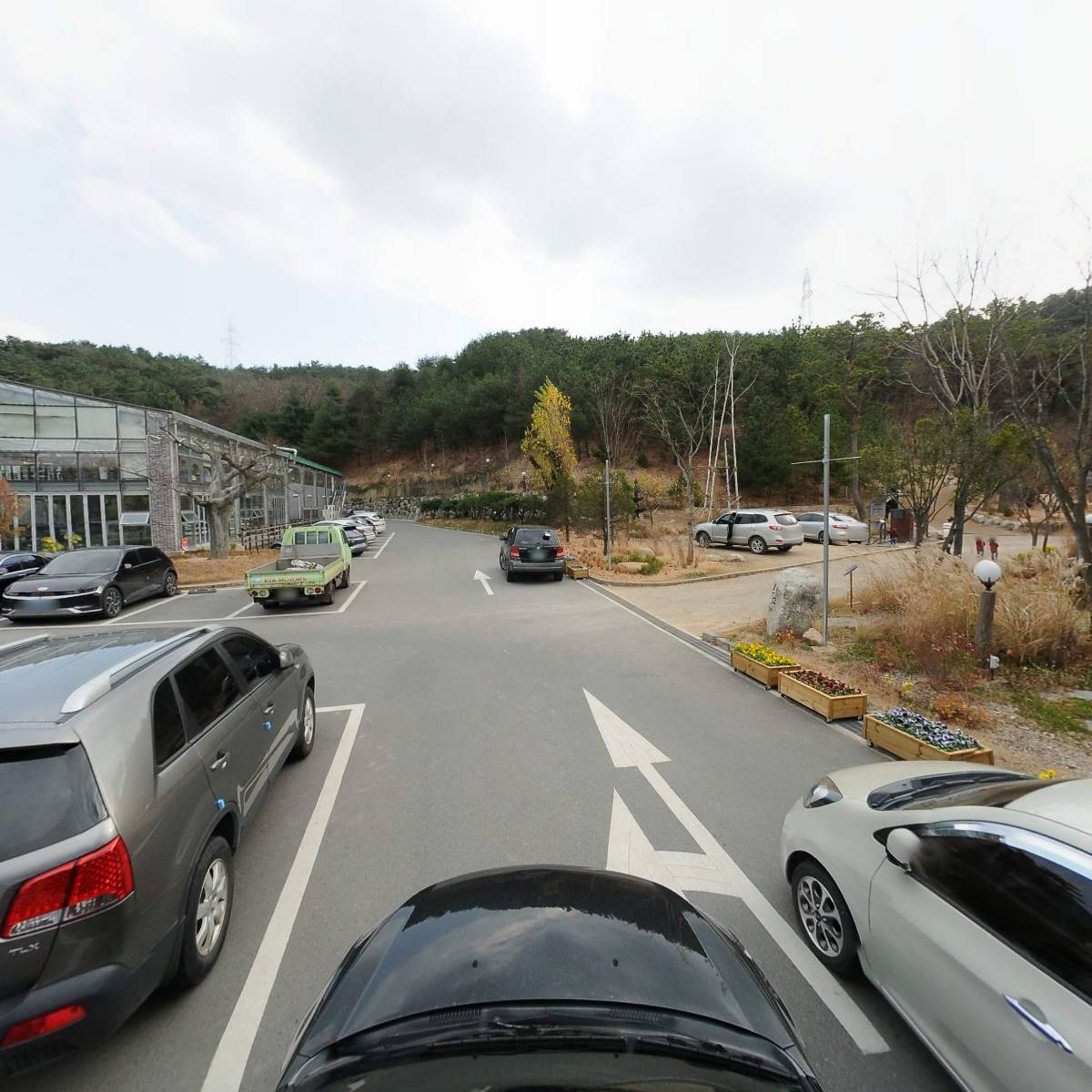 포항축협 축산물직판장 산림조합점_4