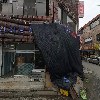 케이오디(K.O.D)