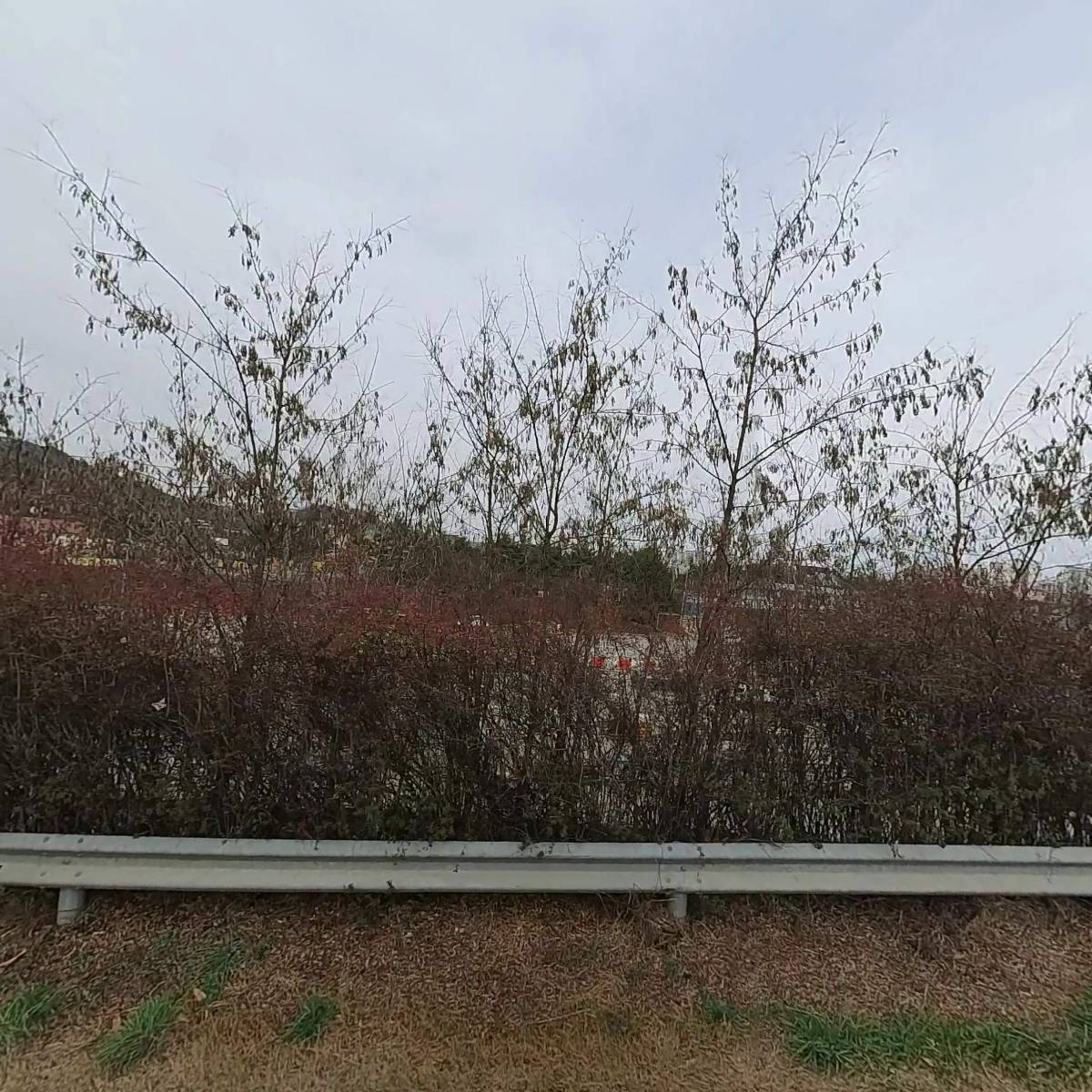 정화ENG_3
