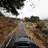 플라워바이린_4