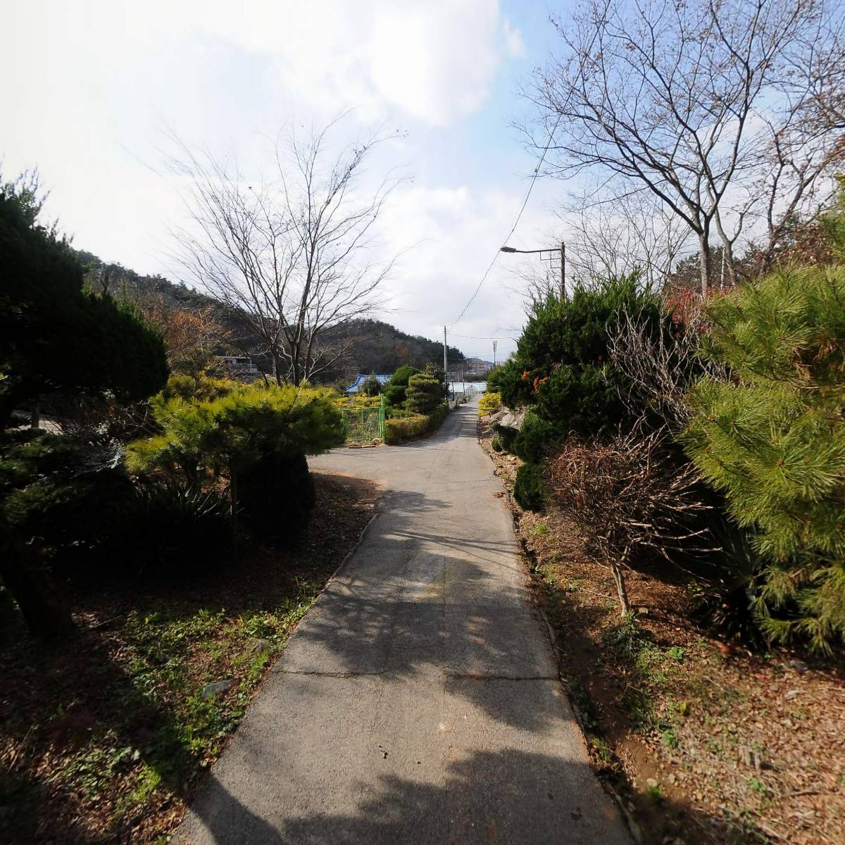 구룡식물원_2