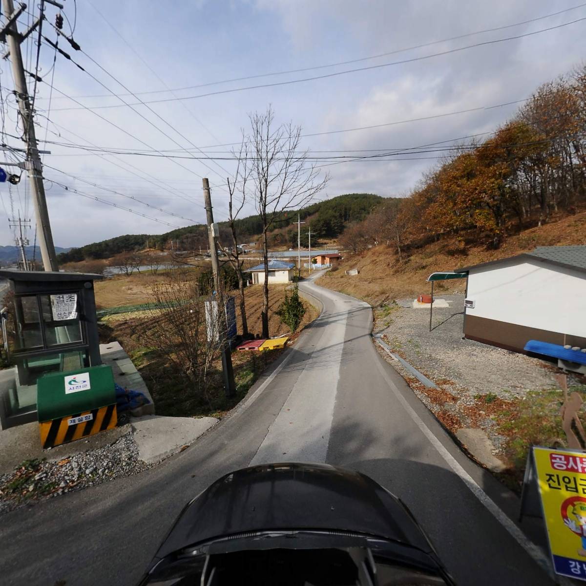 서천물버들_4