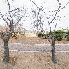 (주)유씨아이테라퓨틱스