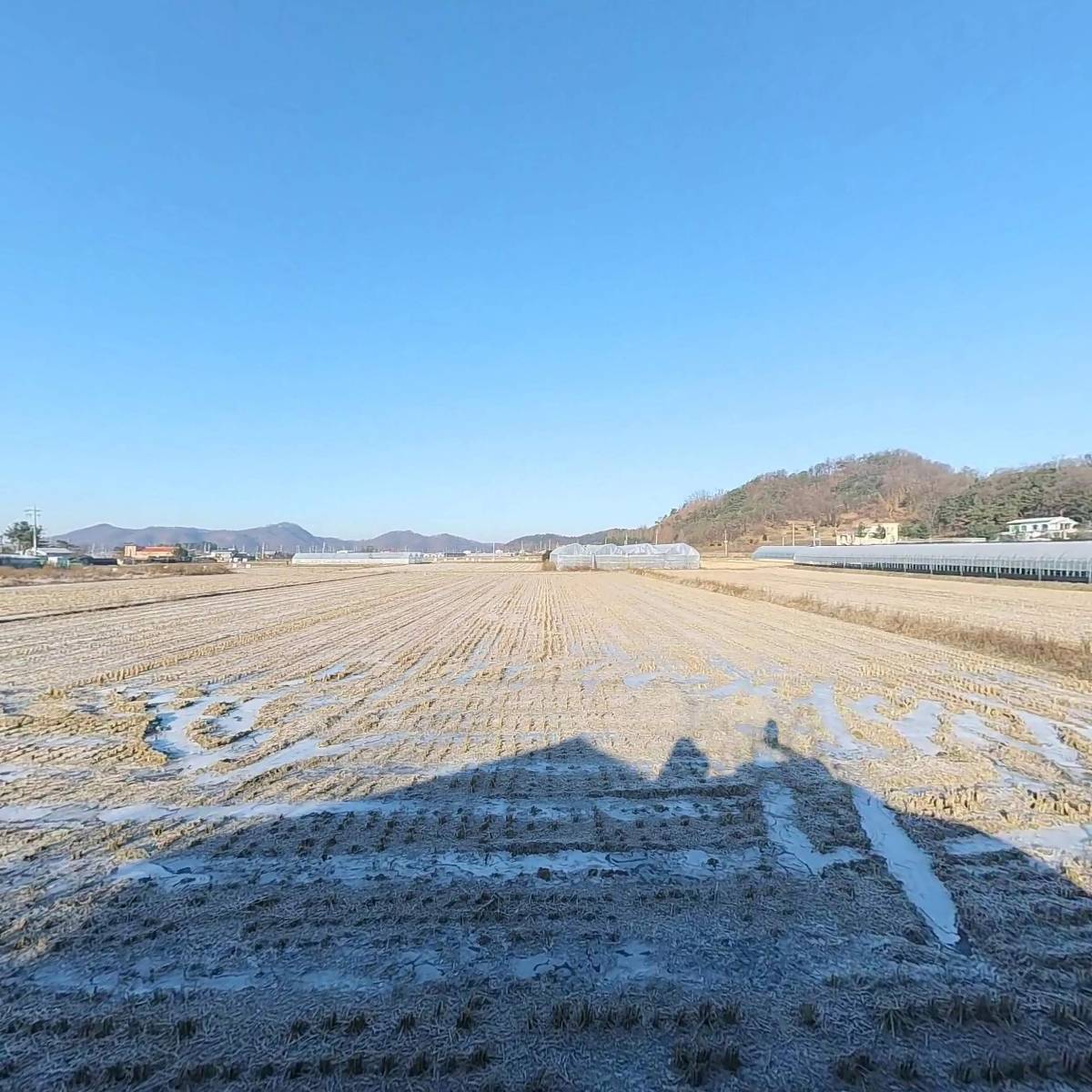모아베리교육농장_3