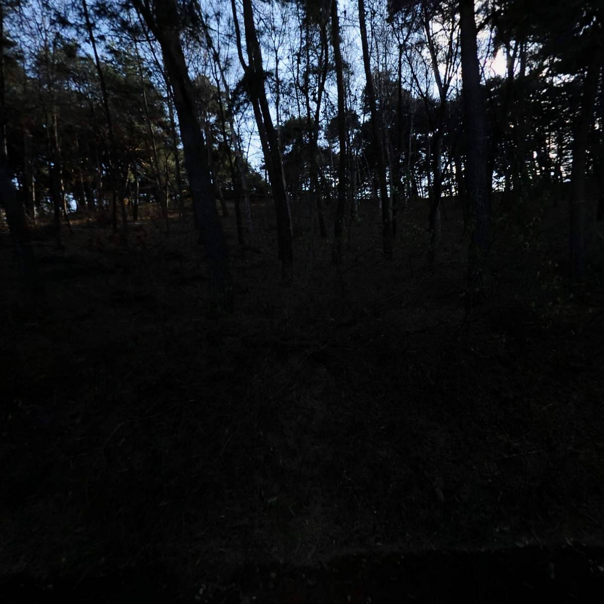 주식회사 청해물산_3