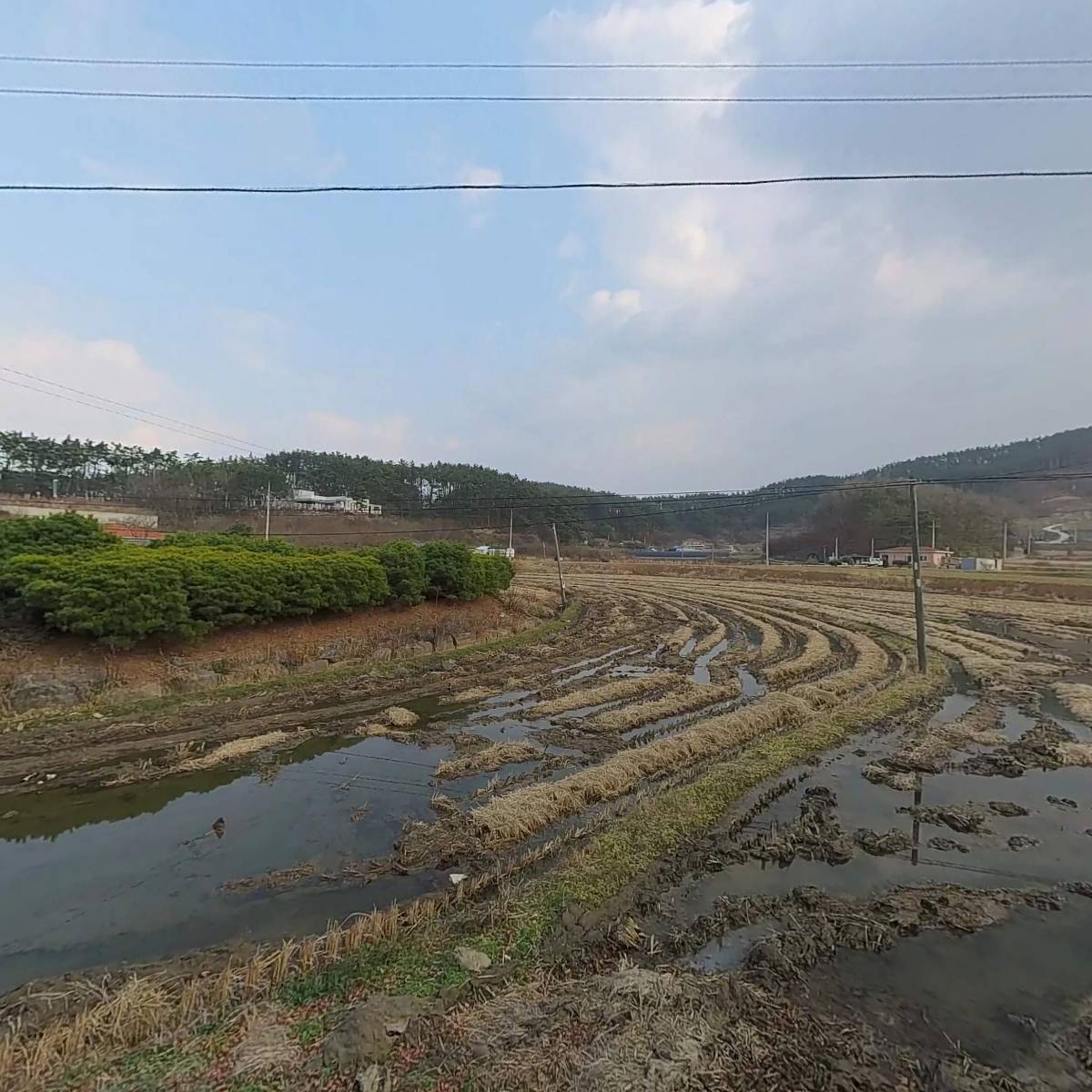 이원크레인,한국지게차_3