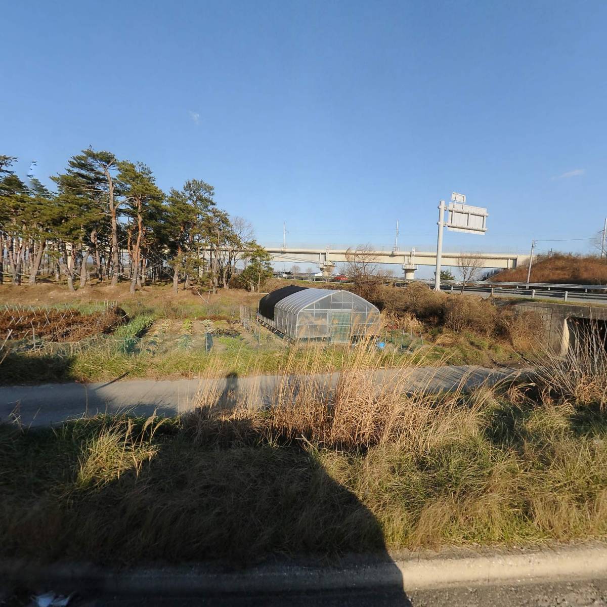 백암순대국