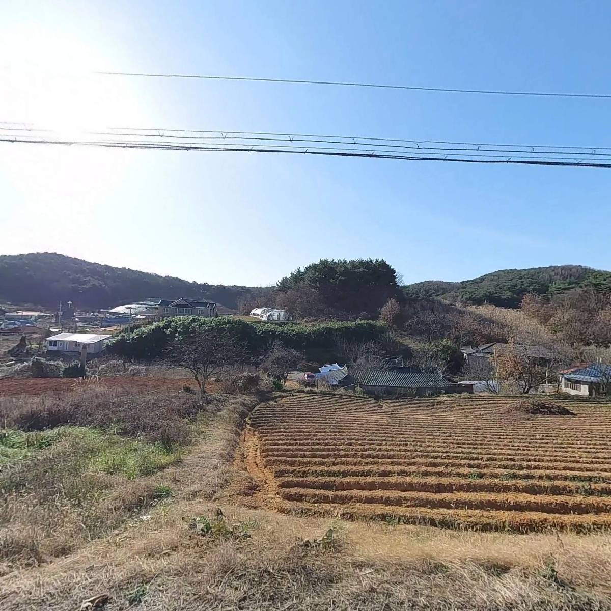 태안군 안면읍 정당리4구마을