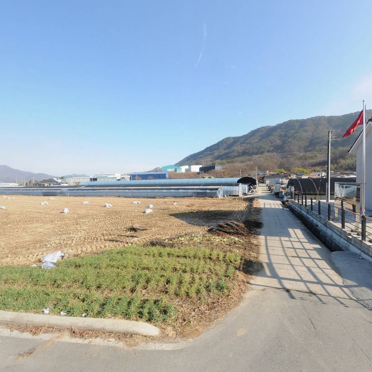 베니벨라_3