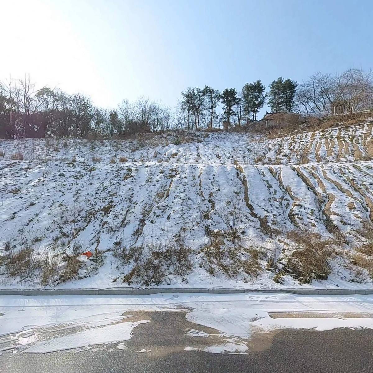 대유위니아AID 홍성점SK_3