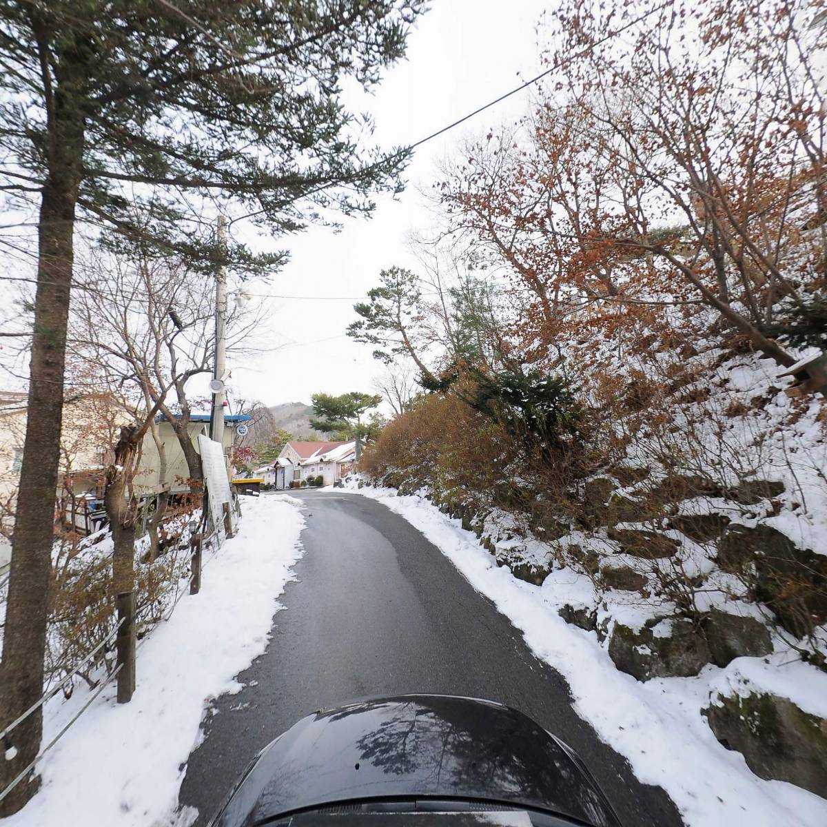 진산자연휴양림_4