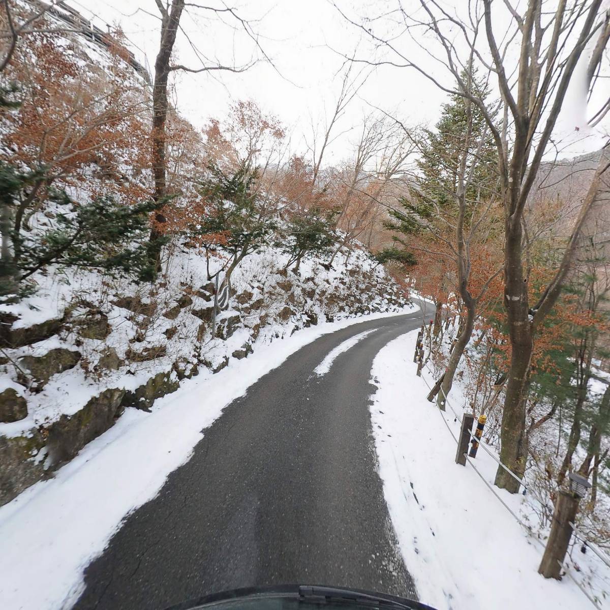 진산자연휴양림_2