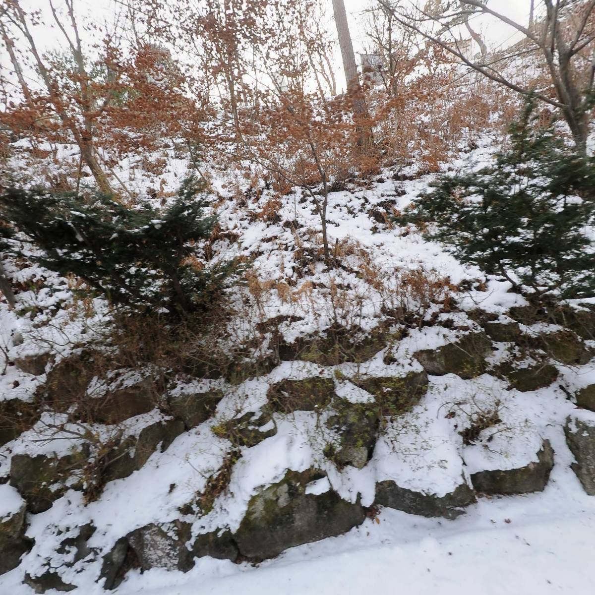 진산자연휴양림