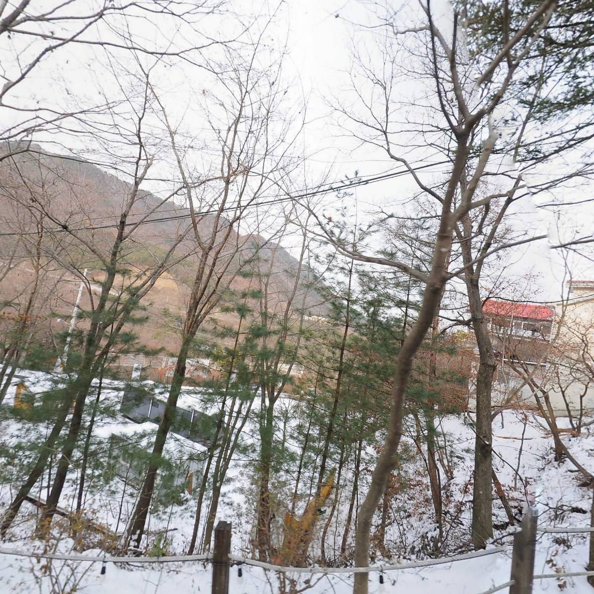 진산자연휴양림_3