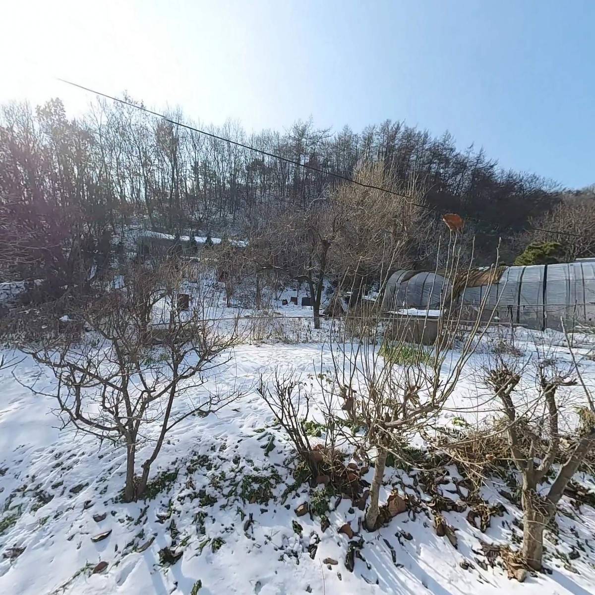 사회복지법인사랑샘_3