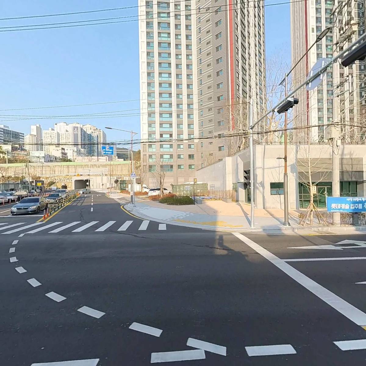 시코_3