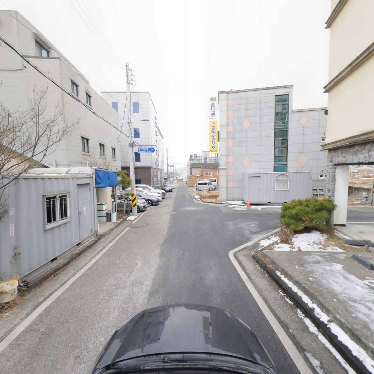 진참치_4